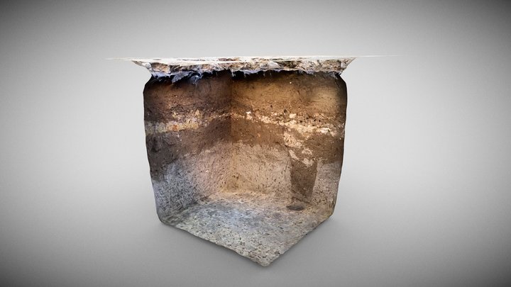 Test Pit with Post Hole - Parramatta 3D Model