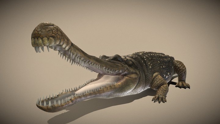 sarcosuchus 3D Model