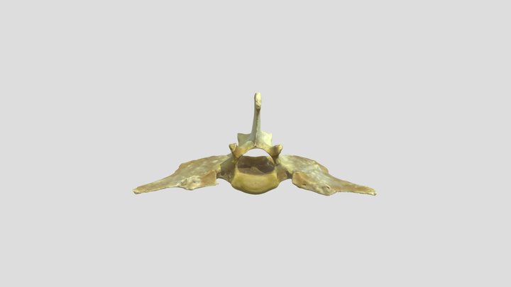 Mini_L6 3D Model