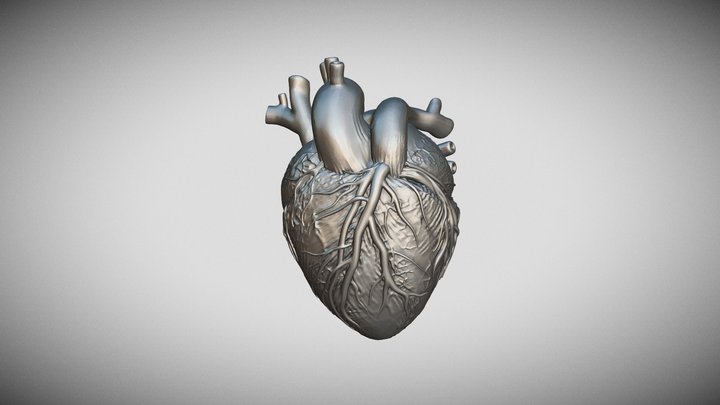 printready heart 3D Model