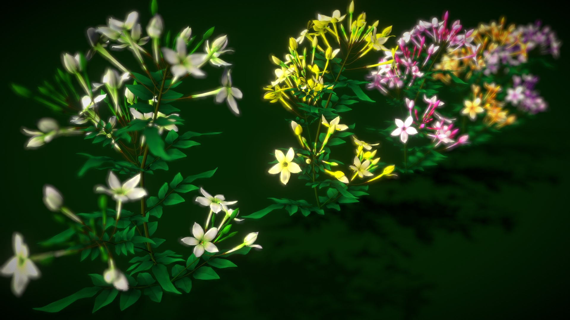 3D model Flower Jasminum - This is a 3D model of the Flower Jasminum. The 3D model is about a group of flowers.