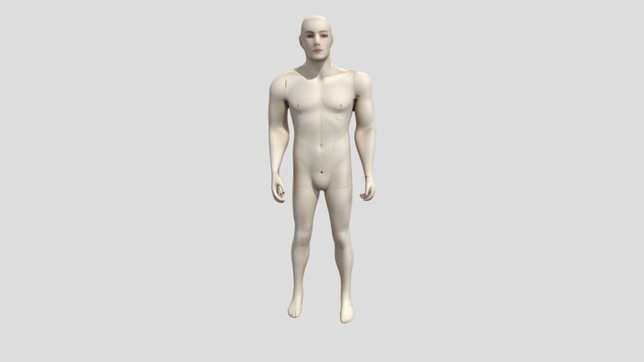 Mannequin Form 3D Model