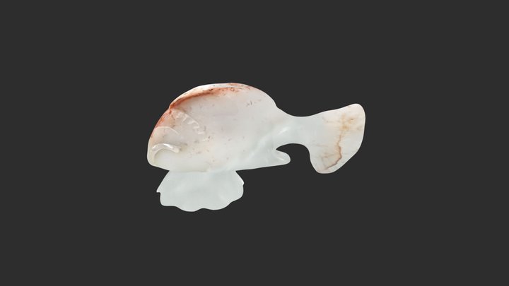 小鱼 3D Model