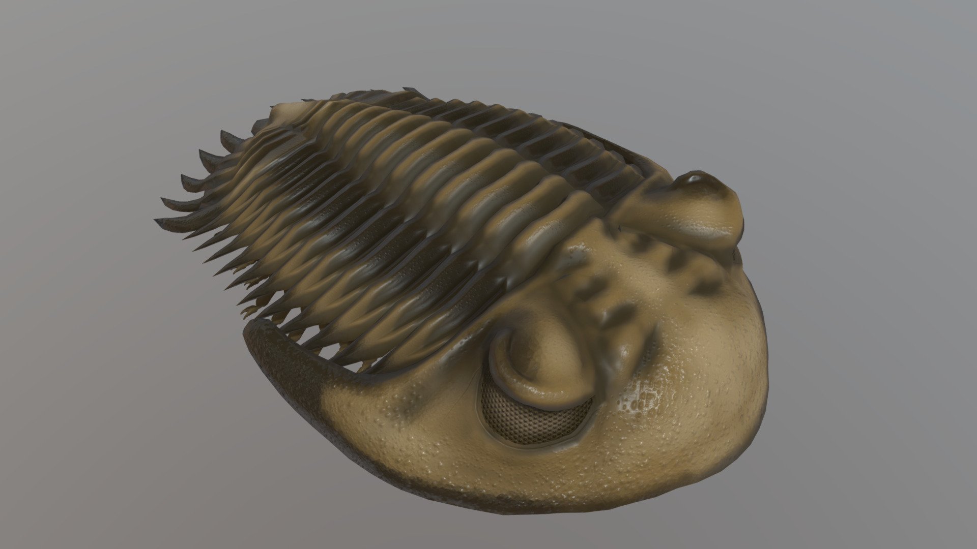 Greenops boothi - 3D model by Paleobiome [5bd1683] - Sketchfab