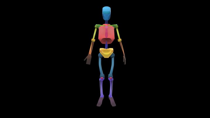 概括版骨架参考 3D Model