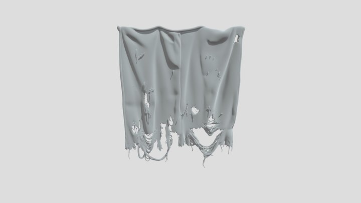 Grunge cloth 3D Model