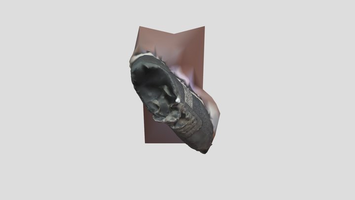 Running Shoes 3D Model