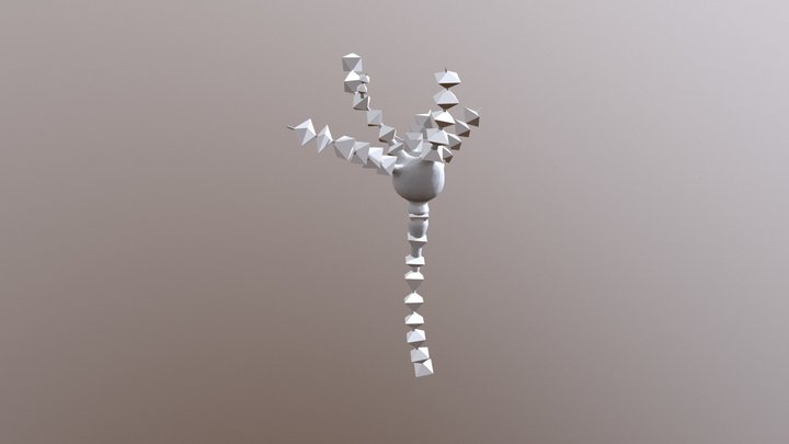 3D Neuron Model 3D Model