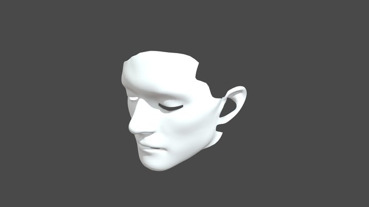 Face 3D Model