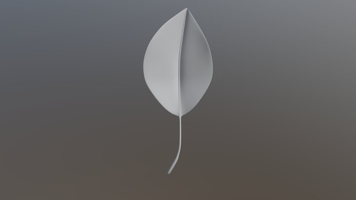High Poly Leaf 3D Model