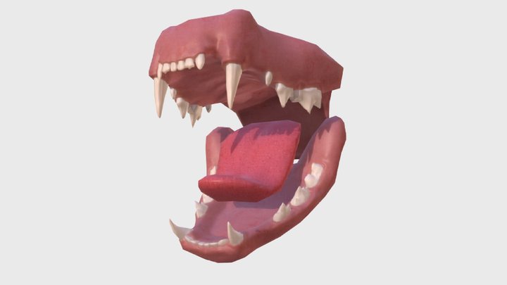 Cat Teeth 3D Model