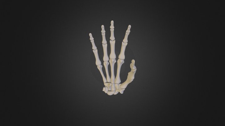 mano 3D Model