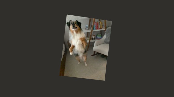 I do my lil dancy dance 3D Model