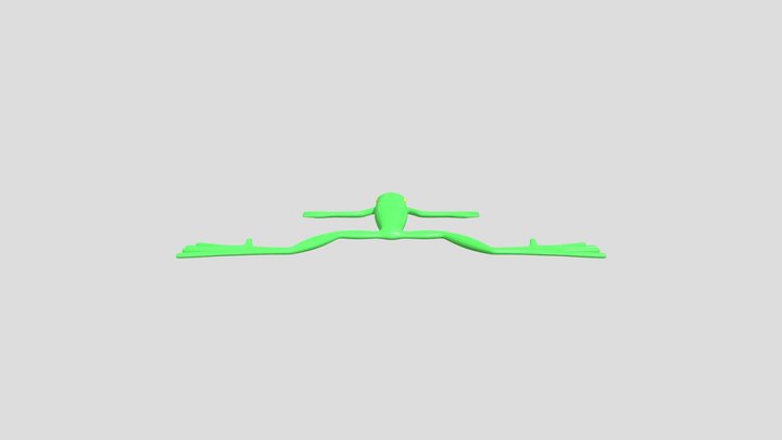 Rana Final 3D Model
