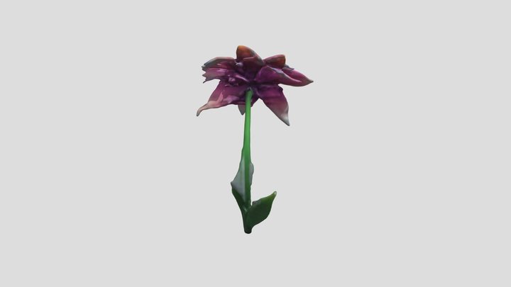 bagian-bagian bunga 3D Model