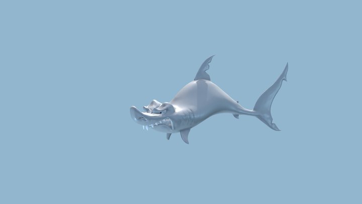 Shark-Nr-02 3D Model