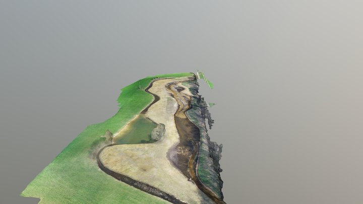 20190321_HoltwickerB_Phantom4Pro_2_simplified_3d 3D Model
