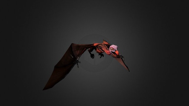 Griffin Animation Reel 3D Model