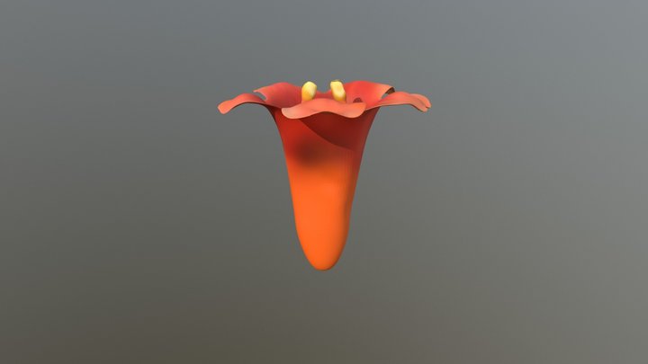 Trumpet Creeper 3D Model