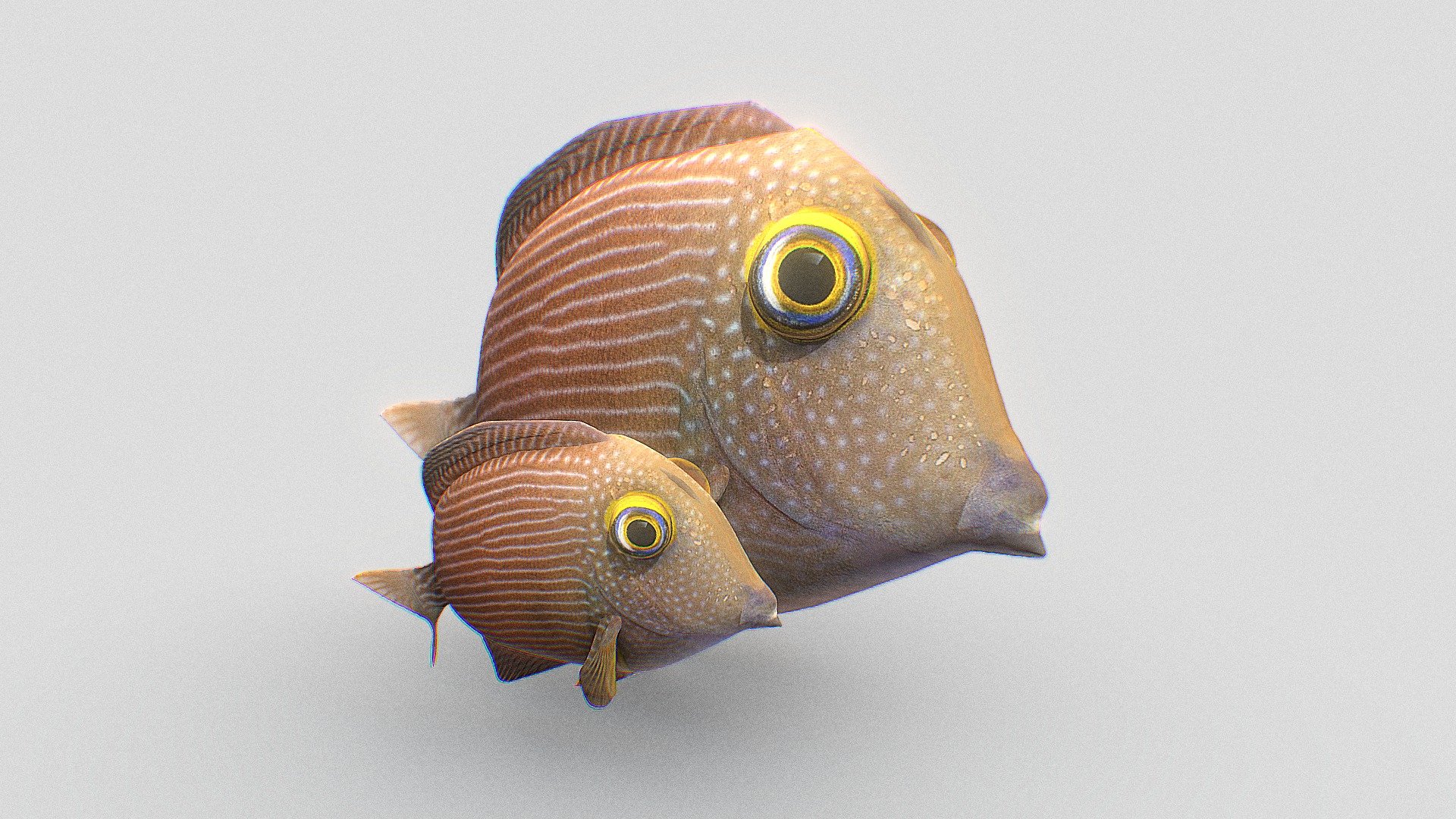 seafish
