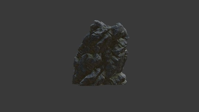 Forest Cliff Rock 3D Model