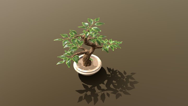 Bonsaitree
