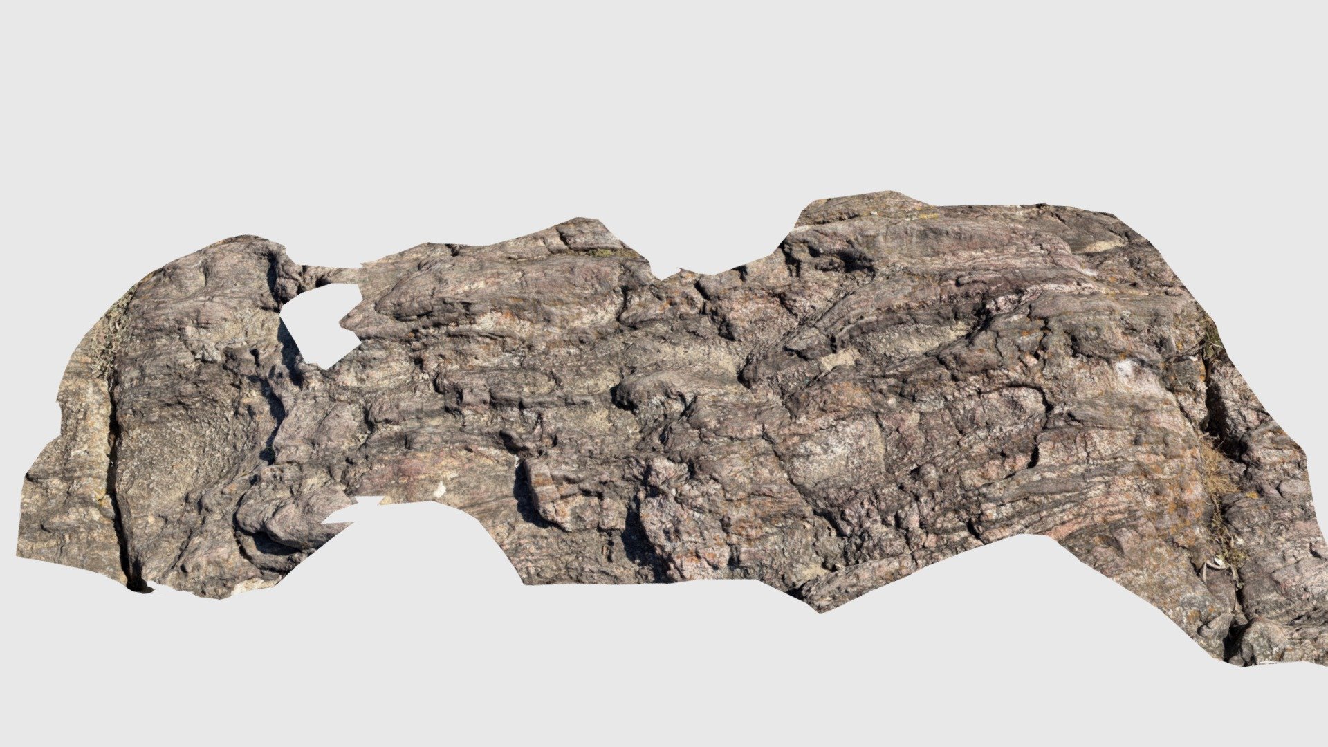 Gneiss migmatitique