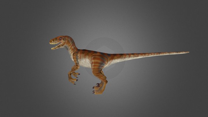 Velociraptor 3D Model