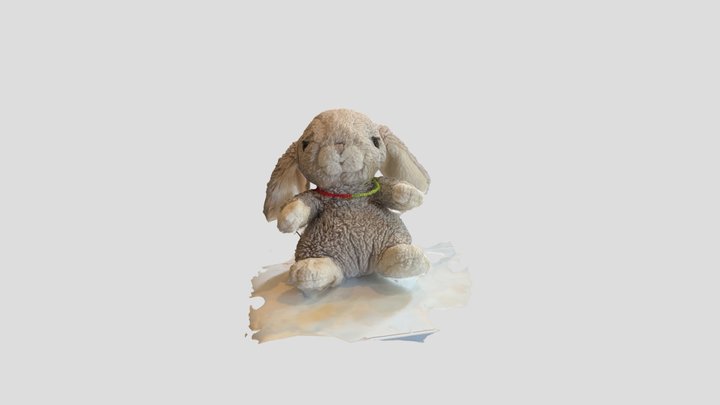 Scan 2022-05-12T18:05:54.116Z 3D Model