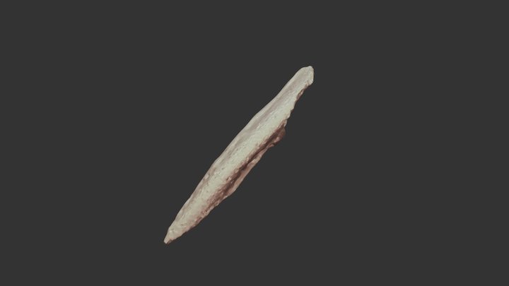 Bone knife 3D Model