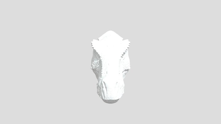 T-rex head sculpture for free 3D Model