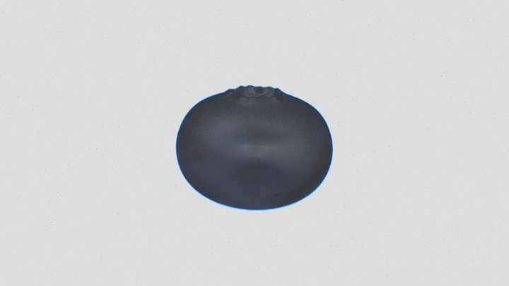 BLUEBERRY FRUITS