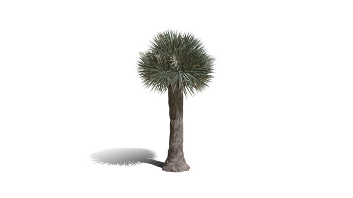 Realistic HD Dragon tree (13/50) 3D Model