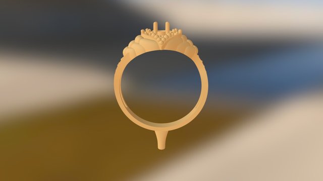Ring Lille STL (jewelry) 3D Model
