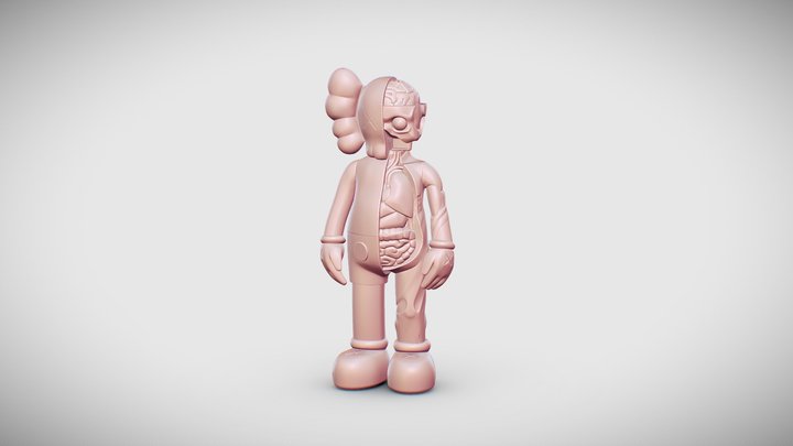 kaws Half for Print DISSECTED COMPANION To Print 3D Model