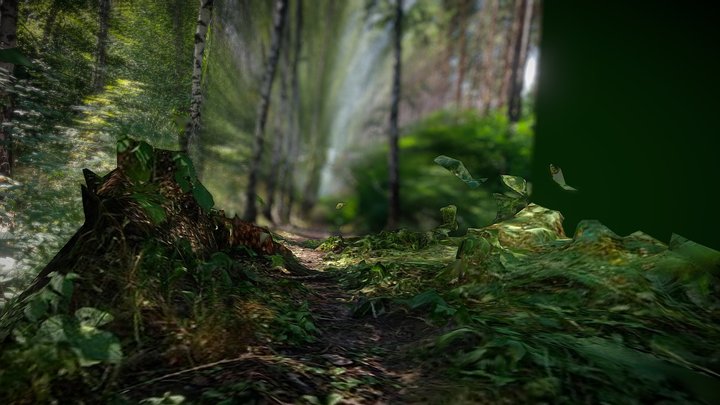 Forest fly-through test – Free 3D Model STL