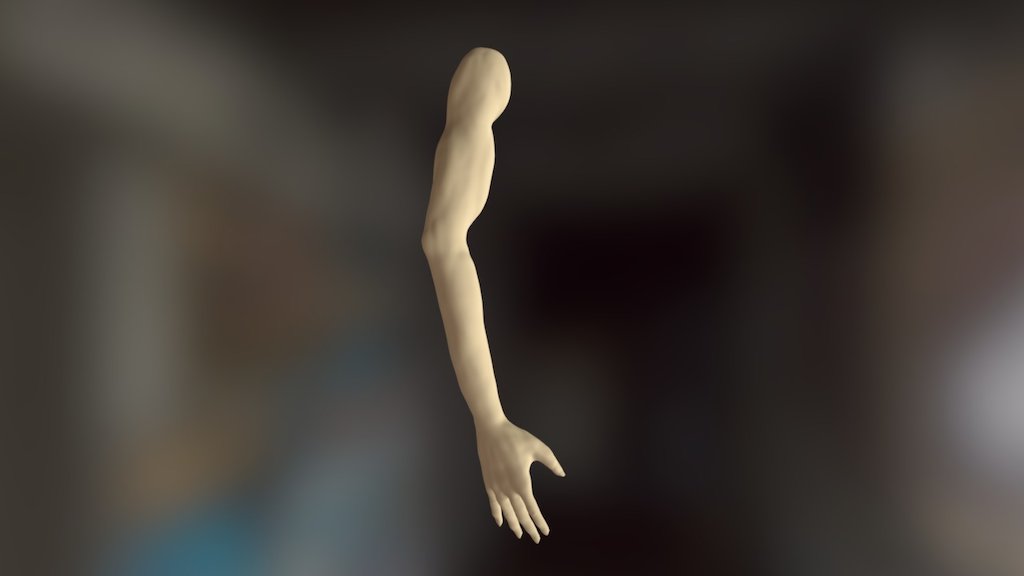 Human arm - 3D model by Yuri Vasconcelos (@yuridfv) [5bf7453] - Sketchfab