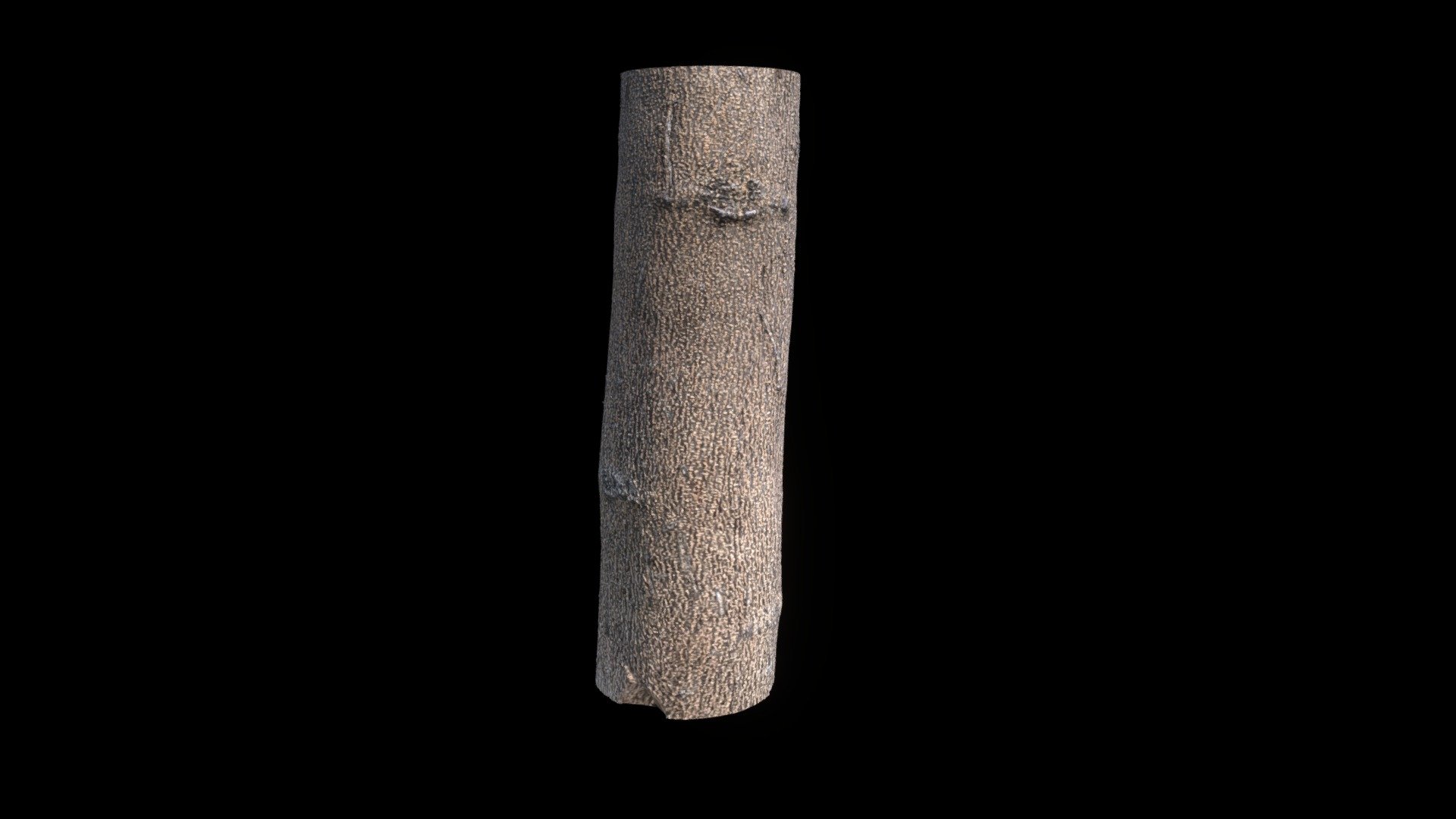 Middle of a Tree photoscanned