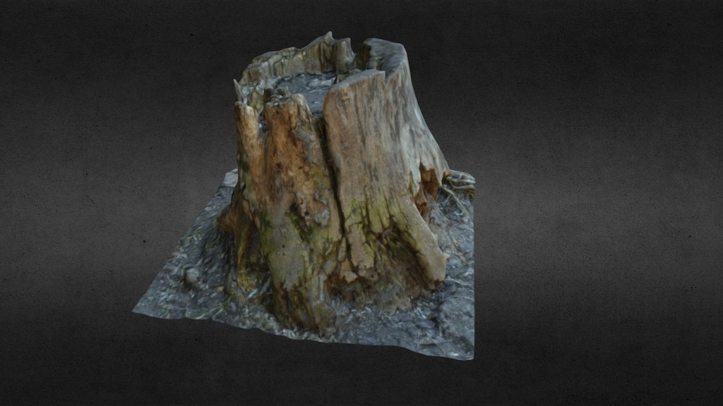 Old Stump - 3D model by petrovich7777 [5bfb9ed] - Sketchfab