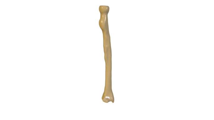 Radio 3D Model