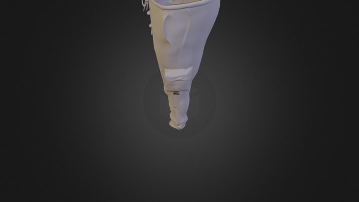 Baggy Pants 3D Model