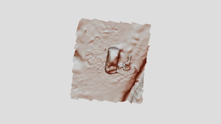 Clio Testfototje 3D Model