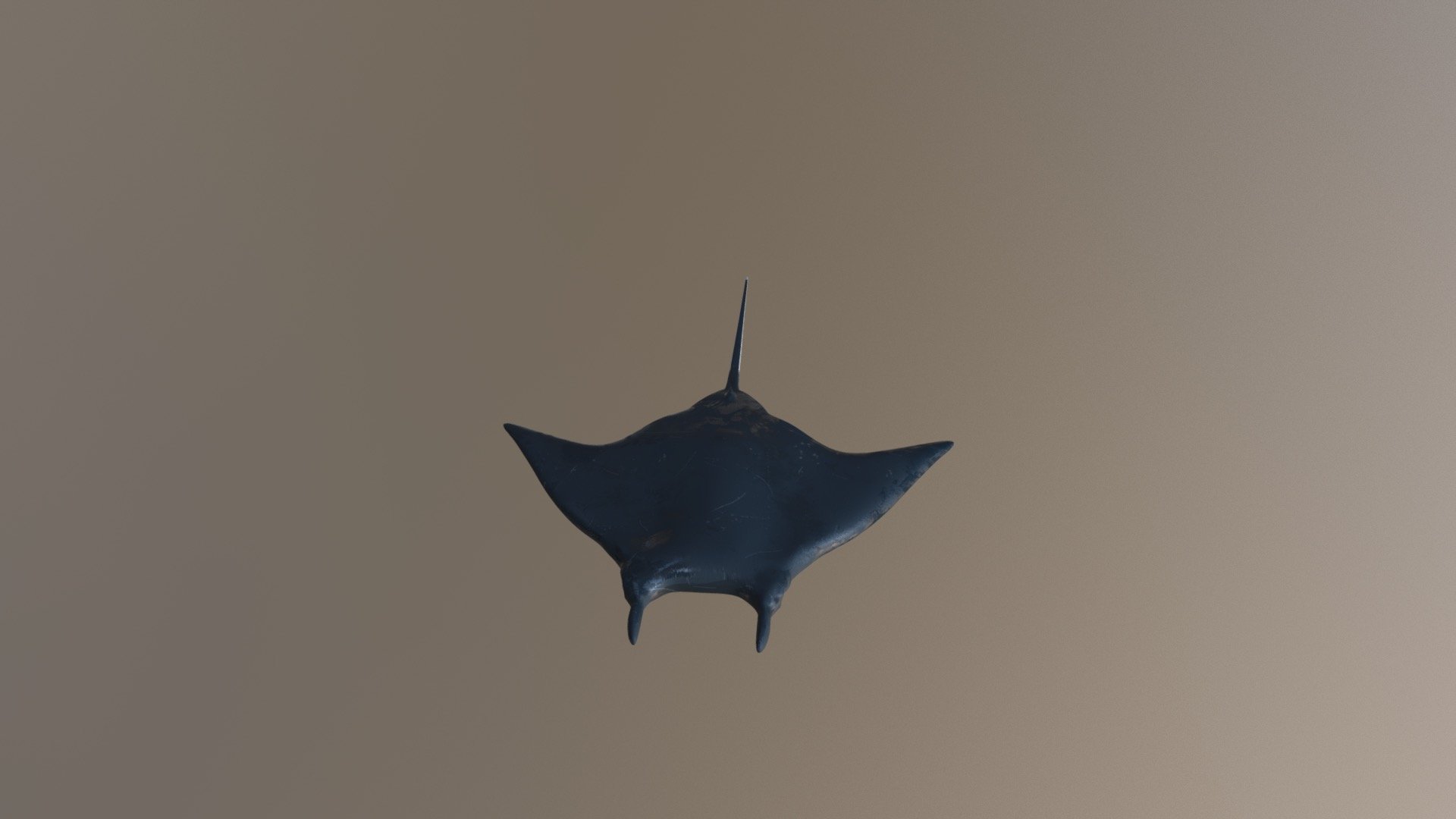 Manta Ray