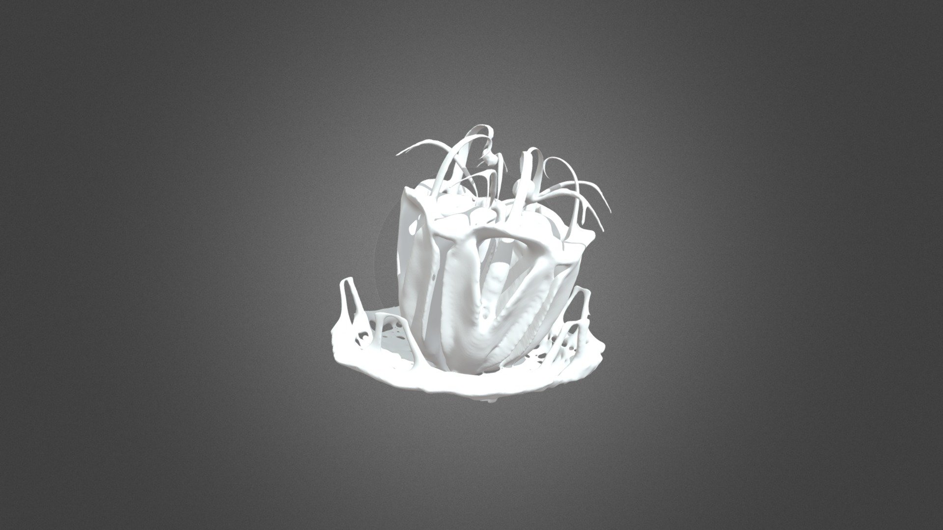 Aristotle’s lantern and perignathic girdle