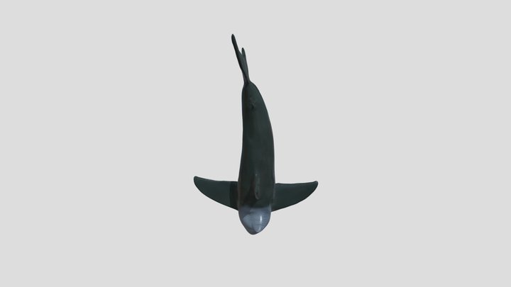 JawsRidePhotOppBody 3D Model