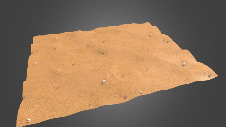 Beach Sand Substance 3D Model