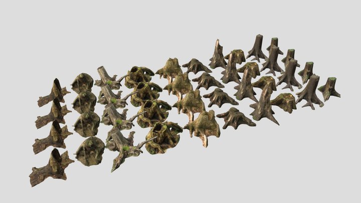 10 Conifer Stumps Pack 3D Model