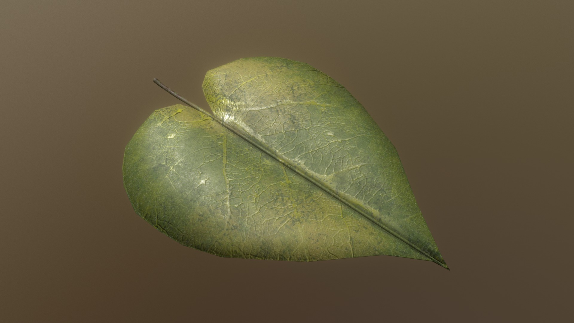 3D model Linden Leaf - This is a 3D model of the Linden Leaf. The 3D model is about a green leaf on a black background.