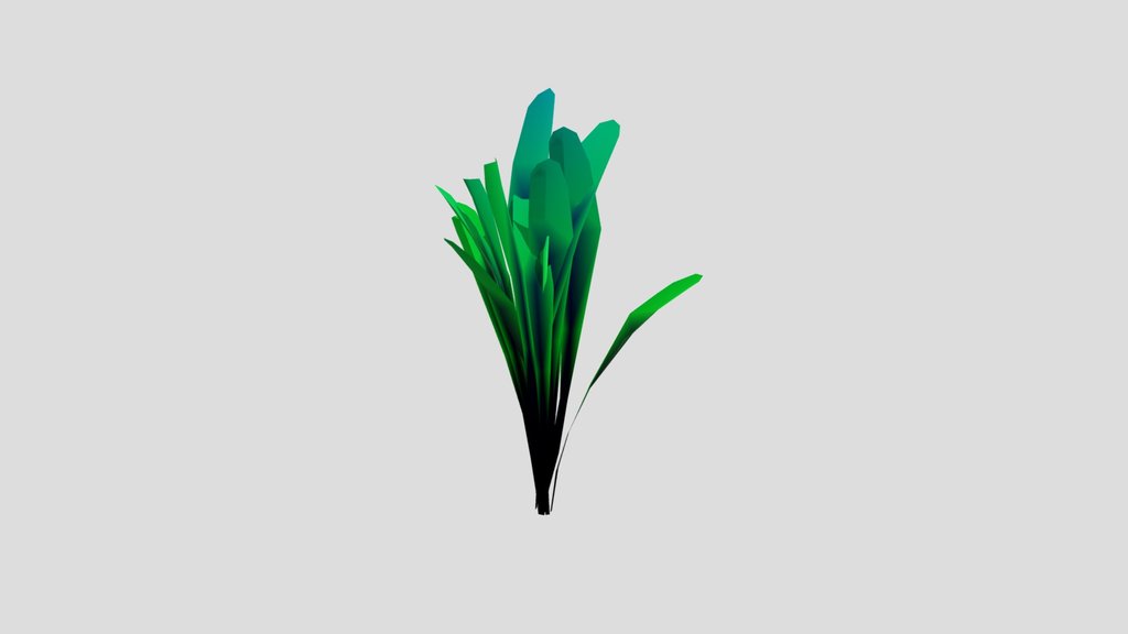 Palm Tree Small Sprout