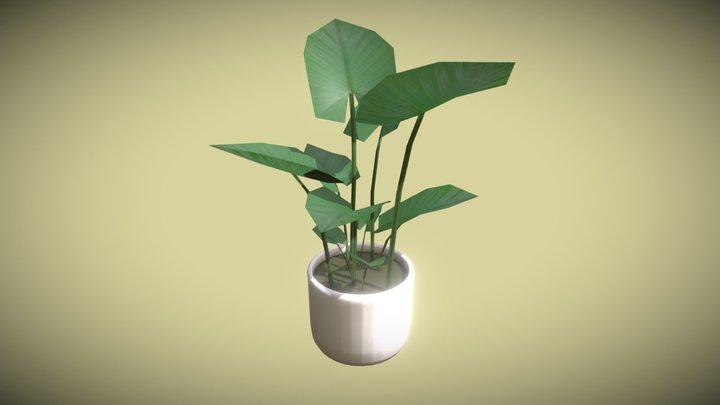 Potted Plant, Mediterranean broad leaf, low poly – Modello 3D gratuito STL